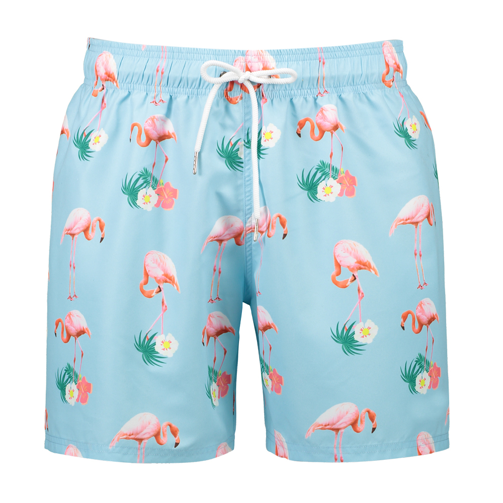 Board Shorts