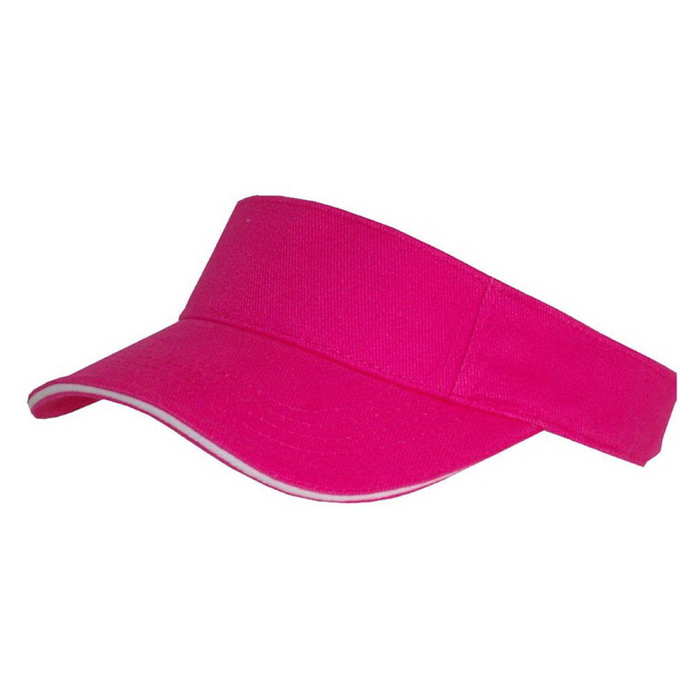 Sun Visor
