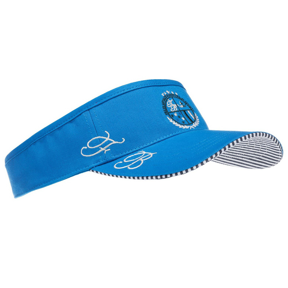 Sun Visor